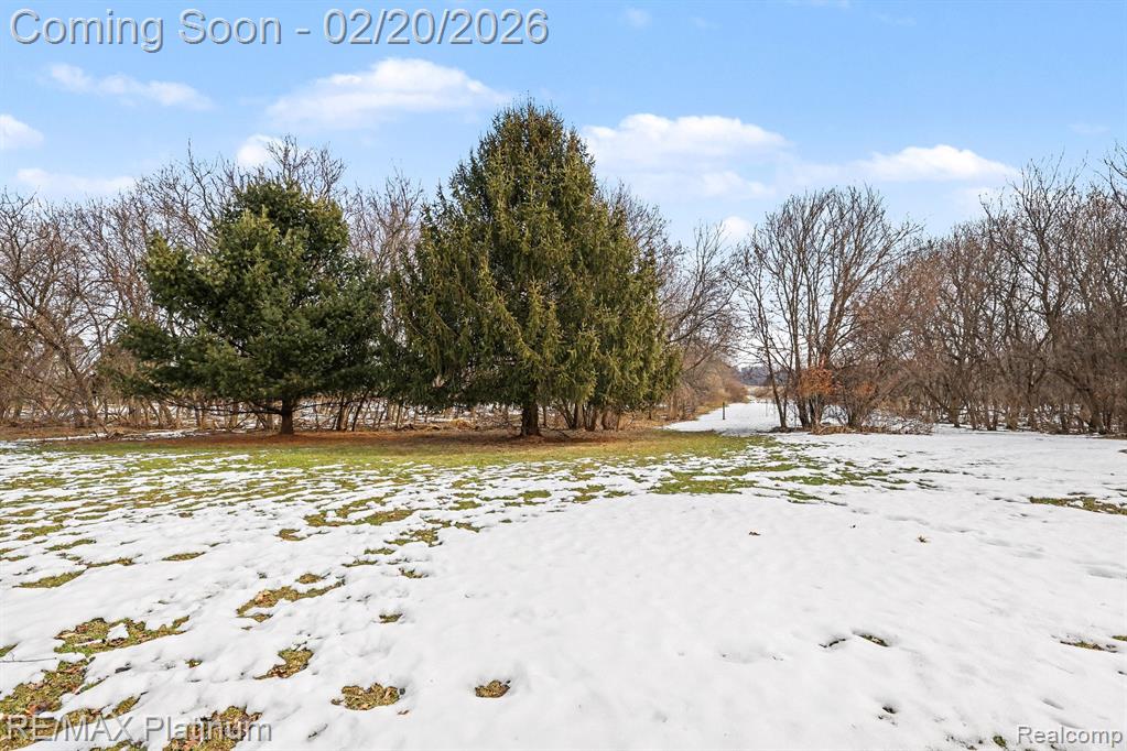 9123 Kinch Road, Jackson, MI 49201 — Photo 16