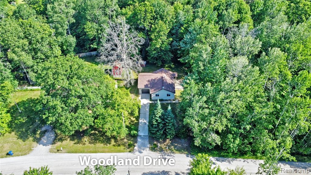 6250 Woodland Drive, Lake, MI 48632 — Photo 4
