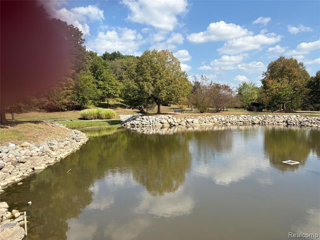 18018 RIDGEVIEW Drive, Northville, MI — Photo 19