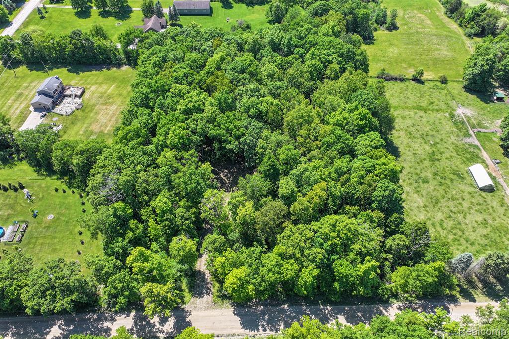 3075 Crandall Road, Howell, MI 48855 — Photo 5