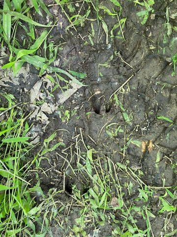 V/L UNDERWOOD Road, Caro, MI 48723 — Photo 5