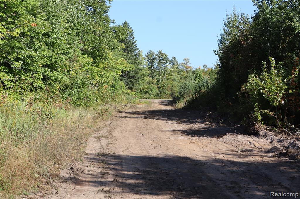 Lot D W Pendills Lake Road, Brimley, MI 49715 — Photo 30