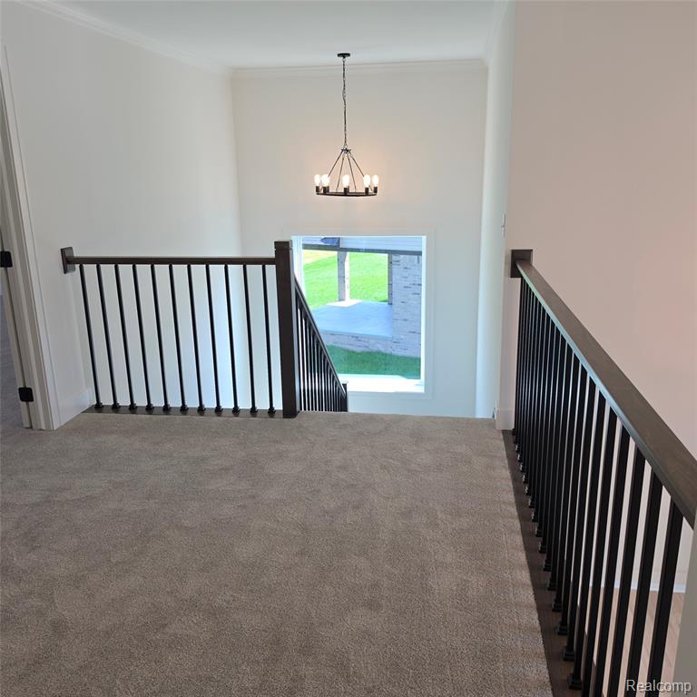 7338 Brys Drive, Shelby Twp, MI 48316 — Photo 28