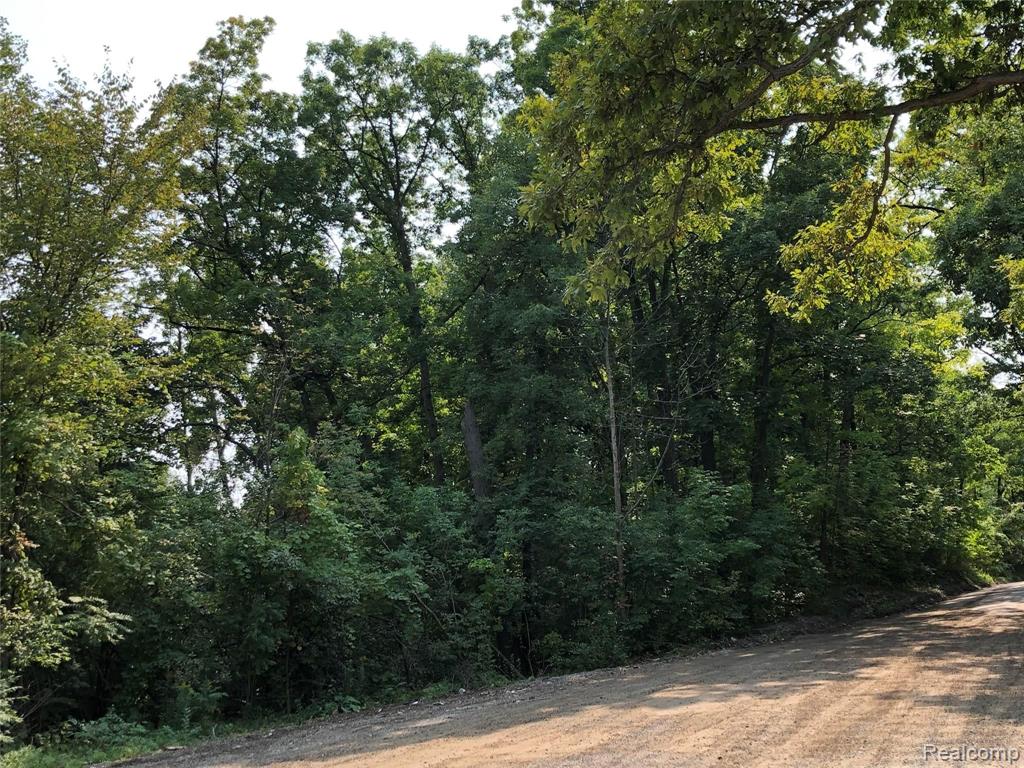 V/L DIXIE Highway, Clarkston, MI — Photo 11