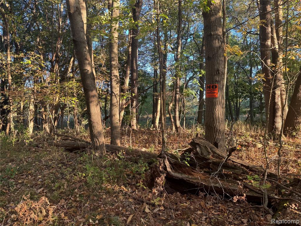 VL Rock Valley Road, Metamora, MI 48455 — Photo 20