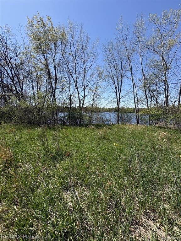 Parcel 1 Edgemont Drive, Howell, MI 48855 — Photo 11