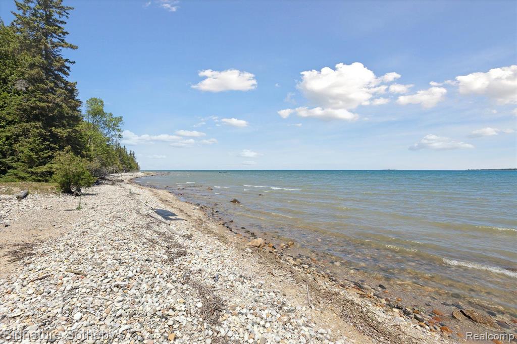 9842 Misery Bay, Alpena, MI 49707 — Photo 43