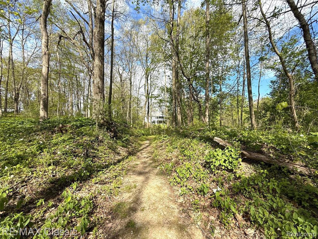 3699 Old Plank Road, Milford, MI 48381 — Photo 30
