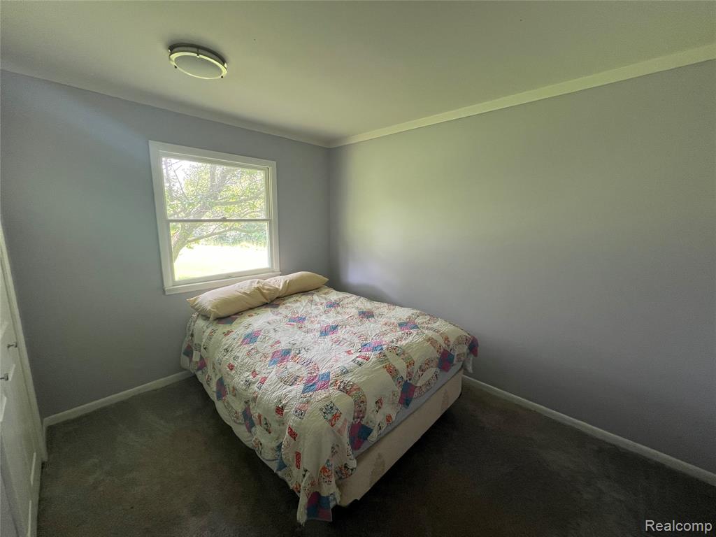 6197 Sober Road, Fowlerville, MI 48836 — Photo 9