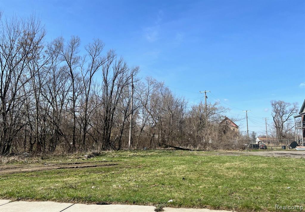 5125 BANGOR Street, Detroit, MI 48210 — Photo 2