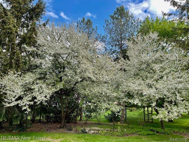 5939 DARB LAKE Drive, West Bloomfield, MI 48324 — Photo 18