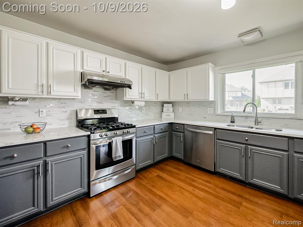 44197 Ivory Way Drive - Photo 5