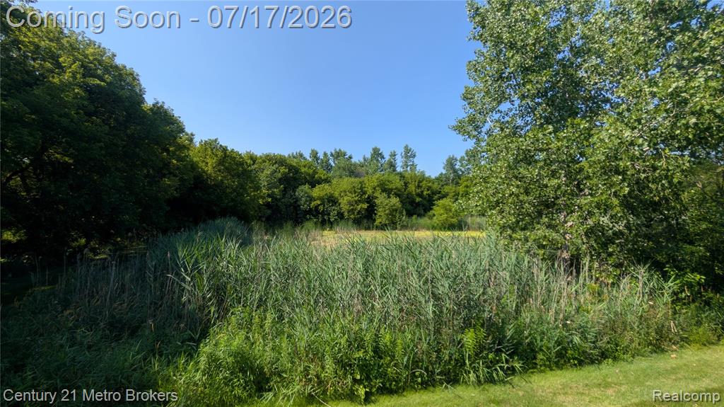 9285 Horizon Drive, Davison, MI 48423 — Photo 23