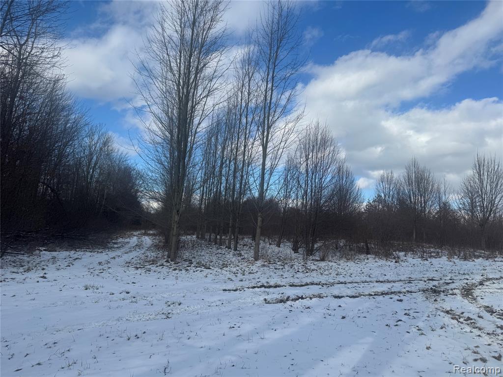 01 Remer Road, China, MI — Photo 8