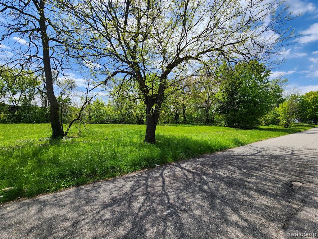 578 Westminster Street, Detroit, MI 48202 — Photo 3