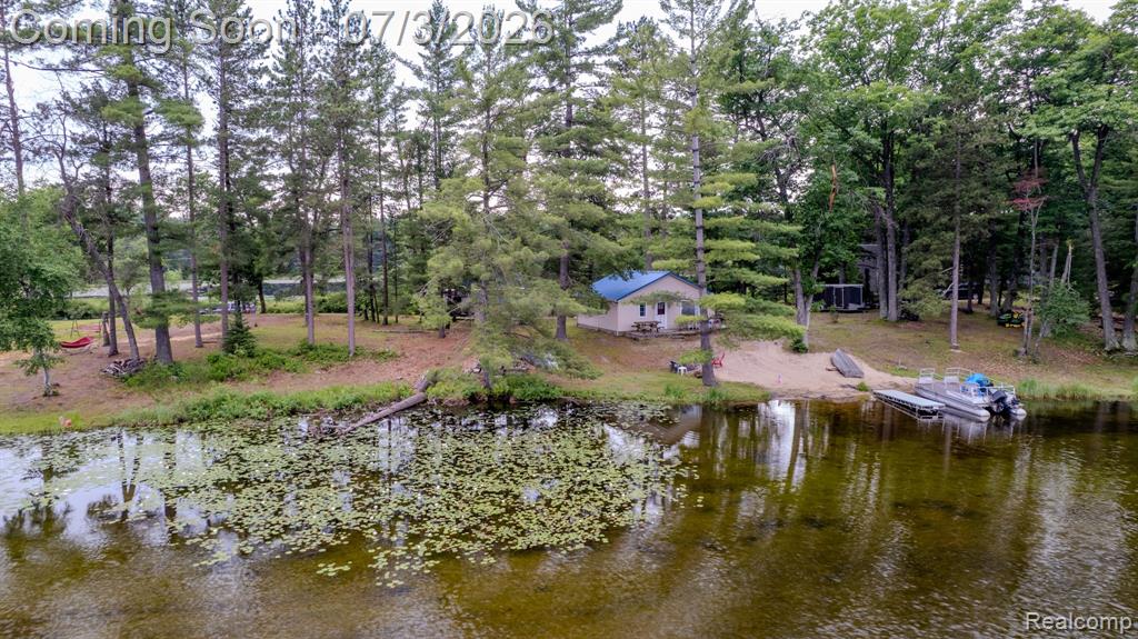 8272 Paradise Drive, South Branch, MI 48761 — Photo 38