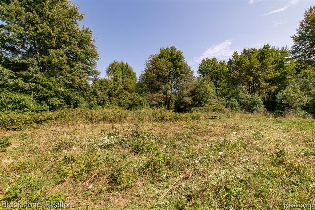 VL Sashabaw Road, Ortonville, MI 48462 — Photo 8