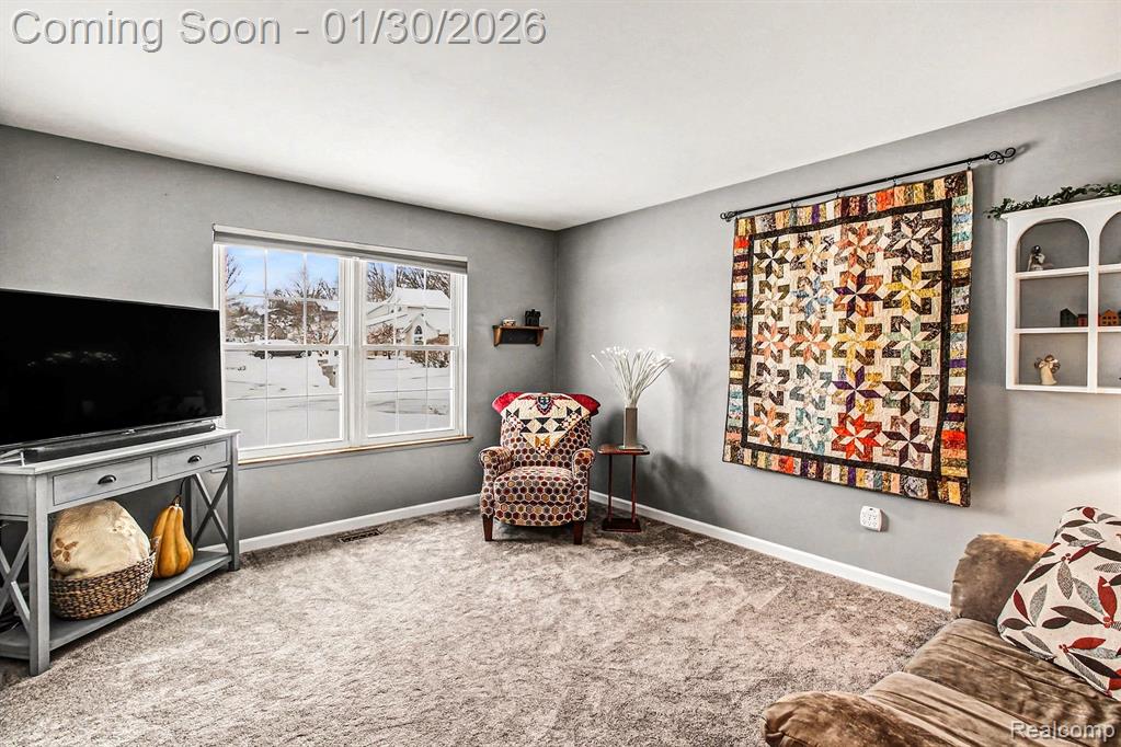 858 Alpine Drive, Brighton, MI 48116 — Photo 4