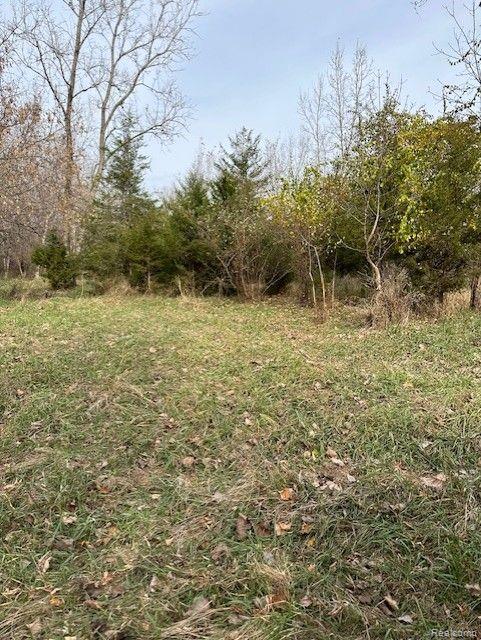 8438 JORDAN Road, Grand Blanc, MI 48439 — Photo 23