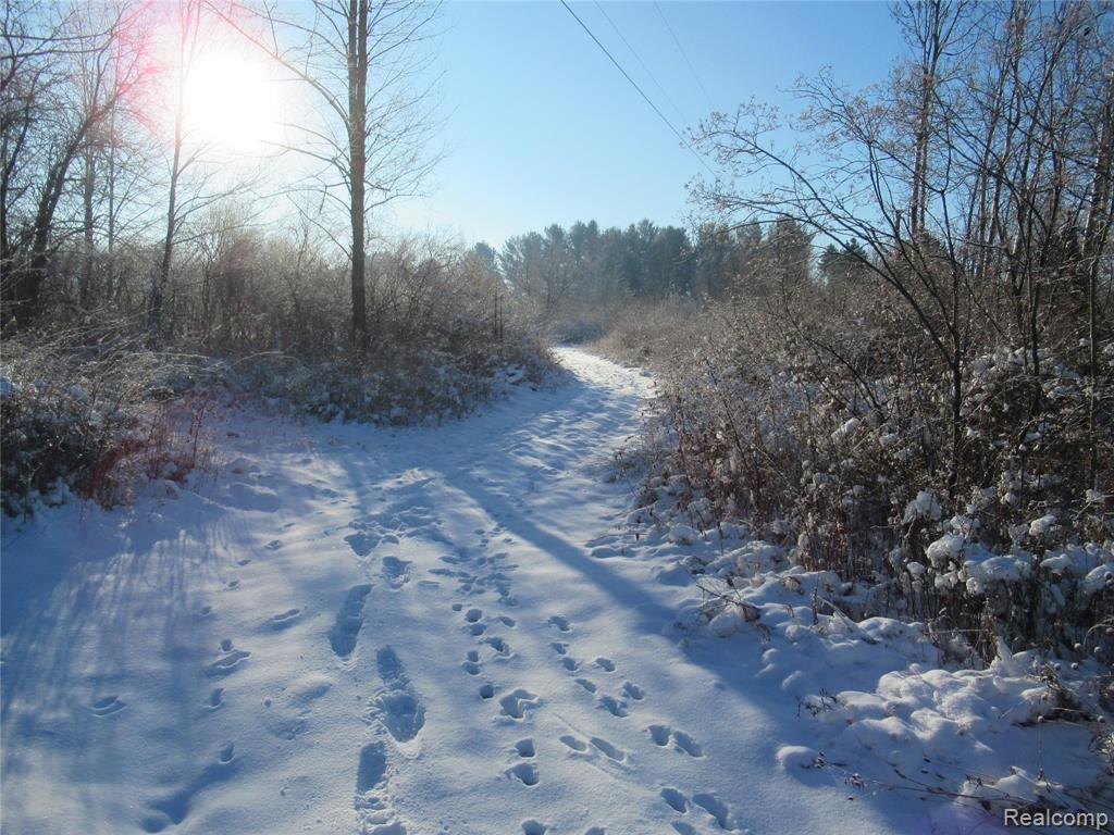 VACANT LAND S. PLAIN Road, Caro, MI 48723 — Photo 9