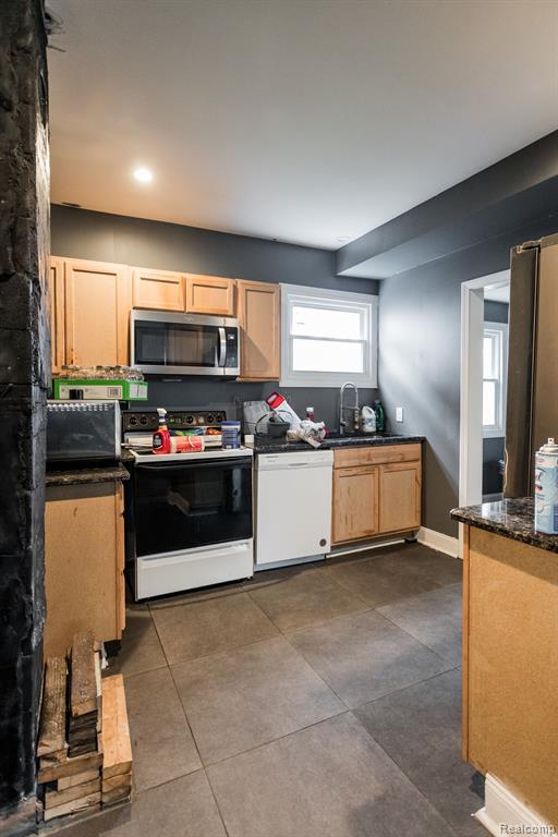 219 Waverly Street, Highland Park, MI 48203 — Photo 9