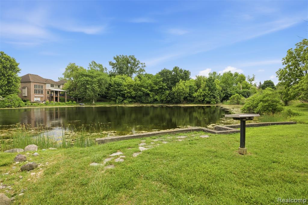 50573 Elmwood Court, Plymouth, MI 48170 — Photo 9
