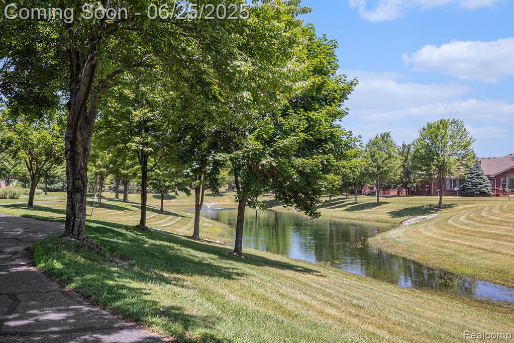 50062 LEXINGTON Avenue E, Shelby Twp, MI 48317 — Photo 19