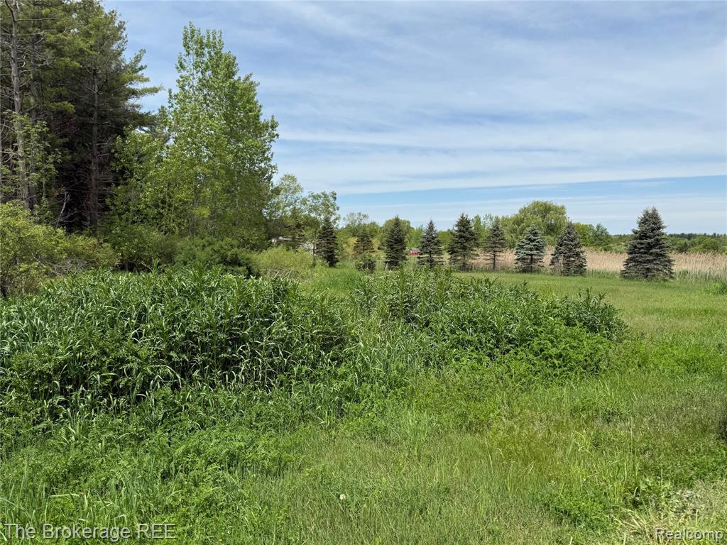 3020 Merwin Road, Lapeer, MI, 48446