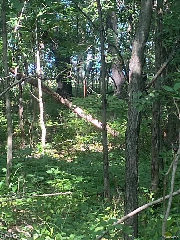 1215 S Bull Run Road, Fowlerville, MI 48836 — Photo 61