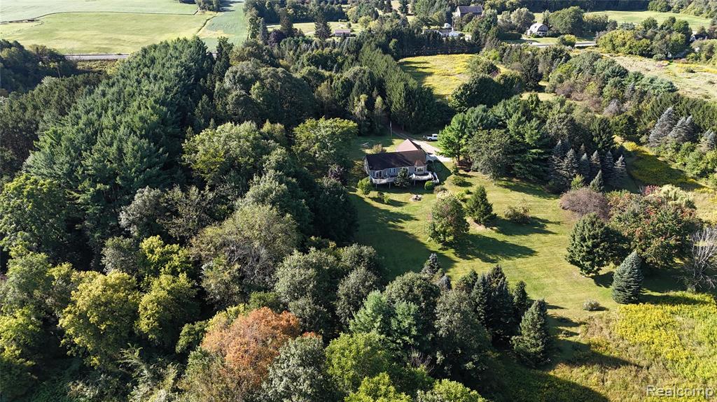 2843 North Branch Rd., North Branch, MI 48461 — Photo 54