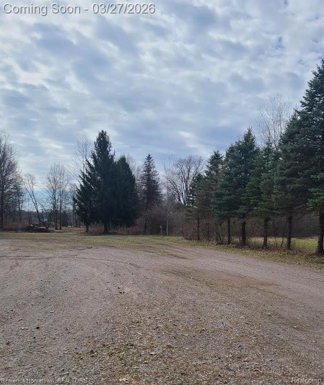 15131 Cortz Road, Petersburg, MI 49270 — Photo 9