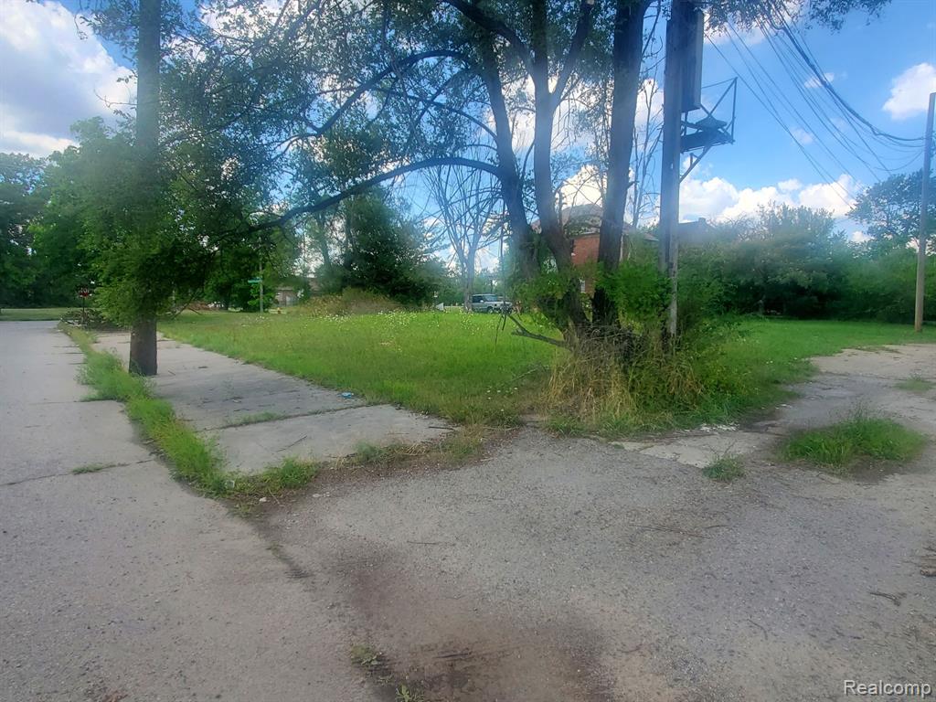 6102 ROSA PARKS Boulevard, Detroit, MI 48208 — Photo 3