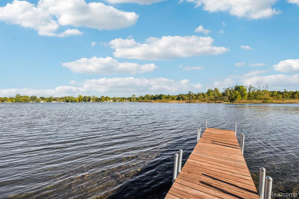 471 Lou Alice Drive, Deerfield, MI 48421 — Photo 34