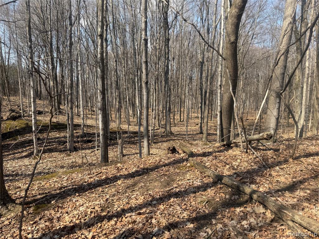 V/L Fulton, Mayville Vlg, MI 48744 — Photo 21