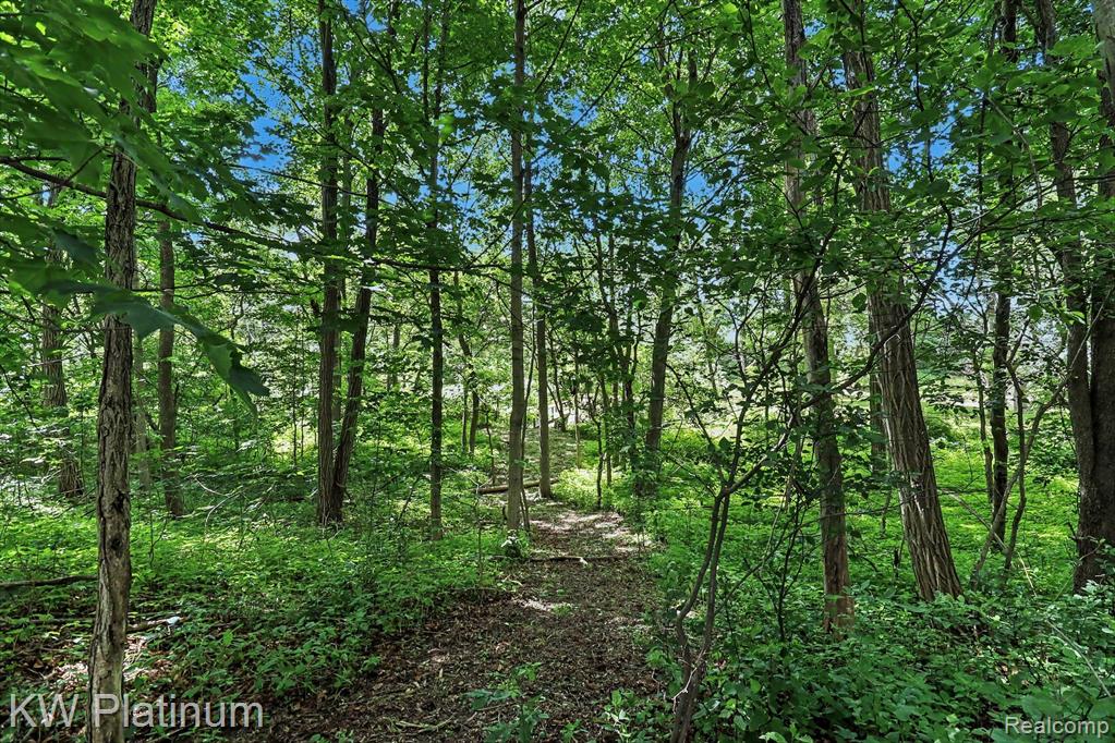 5918 Jeddo Road, MI 48032 — Photo 28