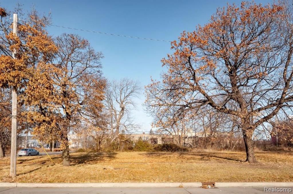 503 E EDSEL FORD, Detroit, MI 48202 — Photo 5