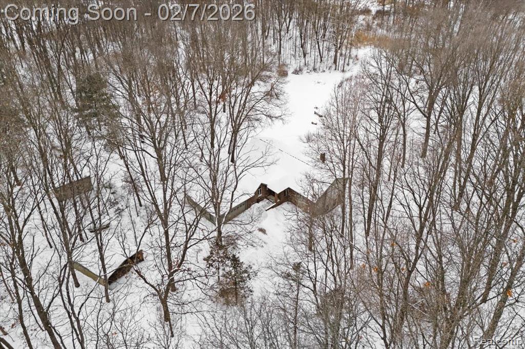 411 Rush Lake Road, Pinckney, MI 48169 — Photo 47