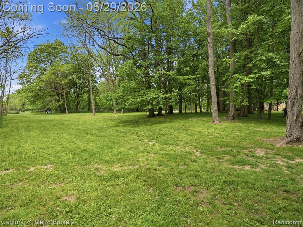 11447 N Latson Road, Linden, MI 48451 — Photo 43