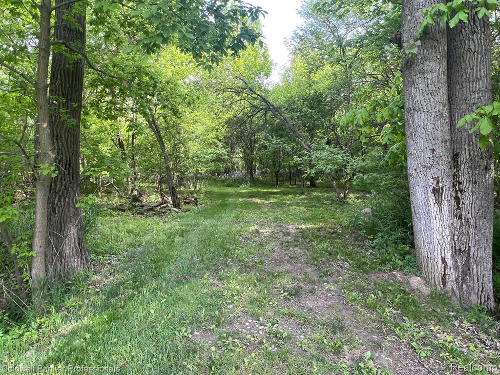 4264 W Benjamin Road, Perry, MI 48872 — Photo 39