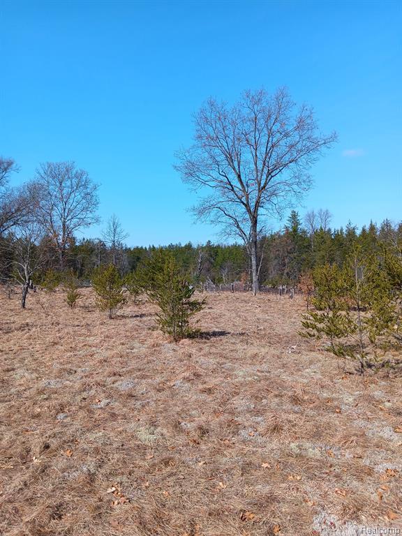 0000 Cedar Creek Road, Wellston, MI, 49689