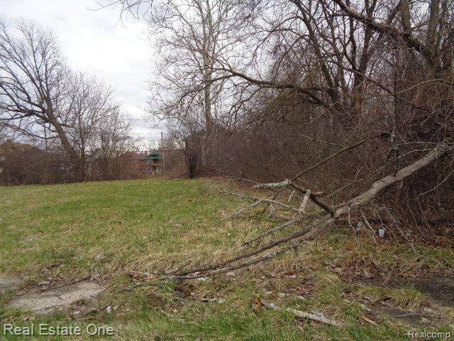 1749 COLLINGWOOD Street, Detroit, MI 48206 — Photo 9