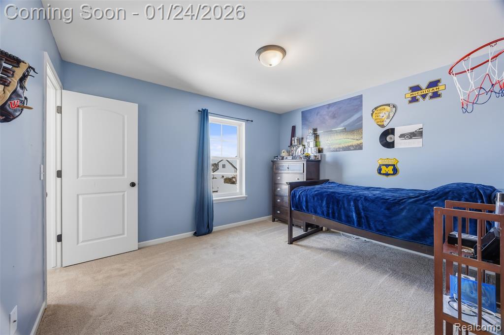 9005 Birch Pointe Drive, Newport, MI 48166 — Photo 20