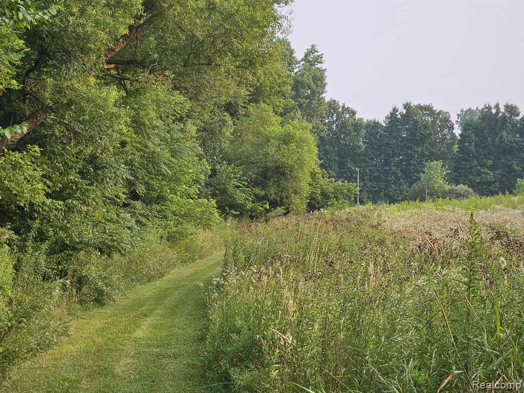 3490 Levalley Road, Columbiaville, MI 48421 — Photo 22