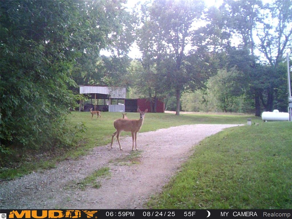 10694 Freeman Road, Mesick, MI 49668 — Photo 16