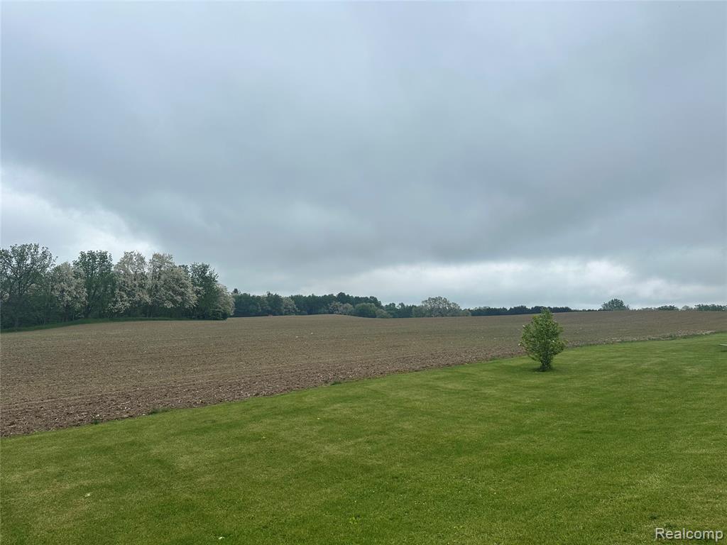 VL Mertz Road, Mayville Vlg, MI 48744 — Photo 13