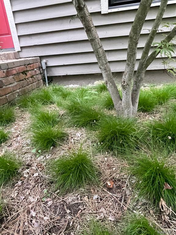 1827 HIGH HOLLOW Drive, Ann Arbor, MI 48103 — Photo 87