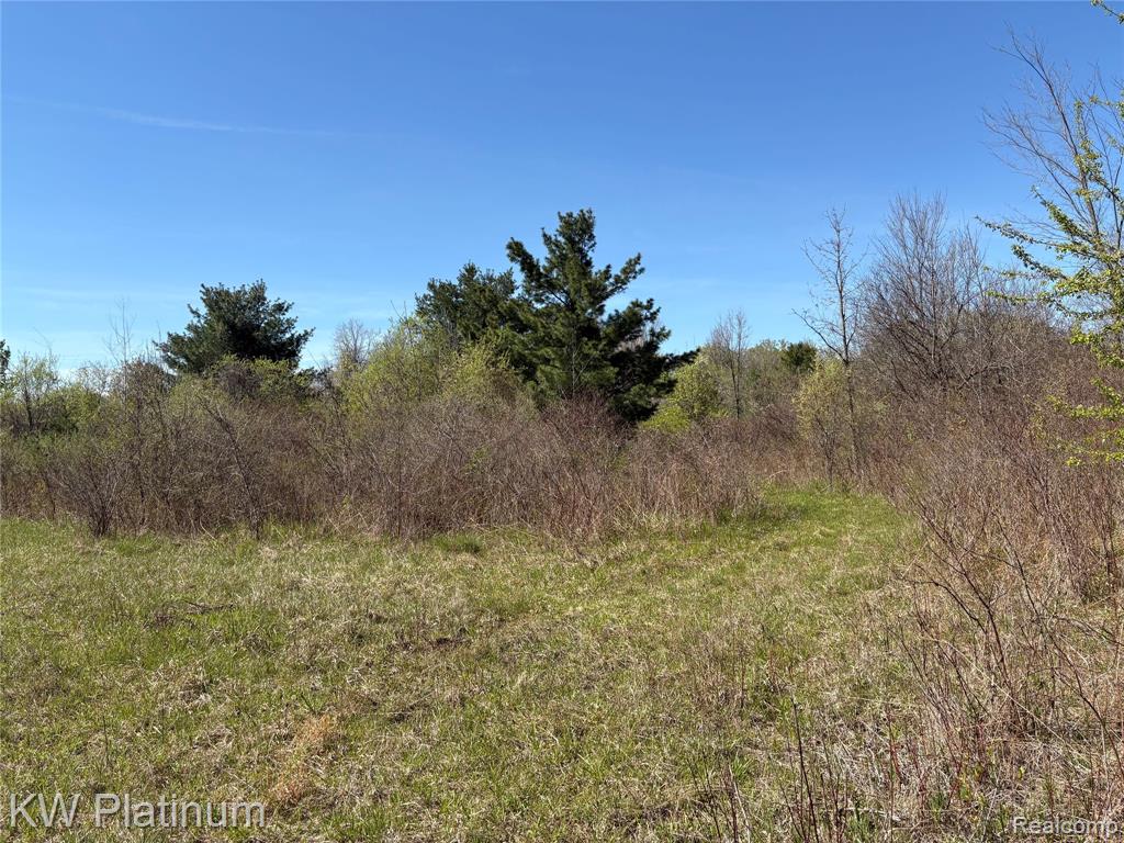 Parcel C Wicha Drive, Burtchville, MI 48059 — Photo 10