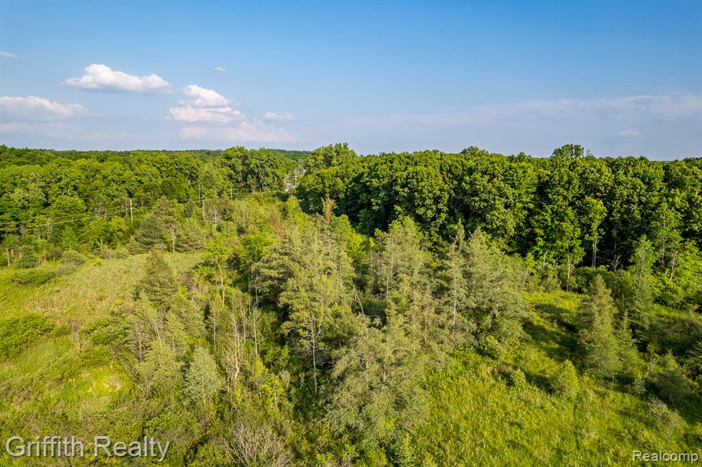 4433 Brighton Parcel B Road, Howell, MI 48843 — Photo 7
