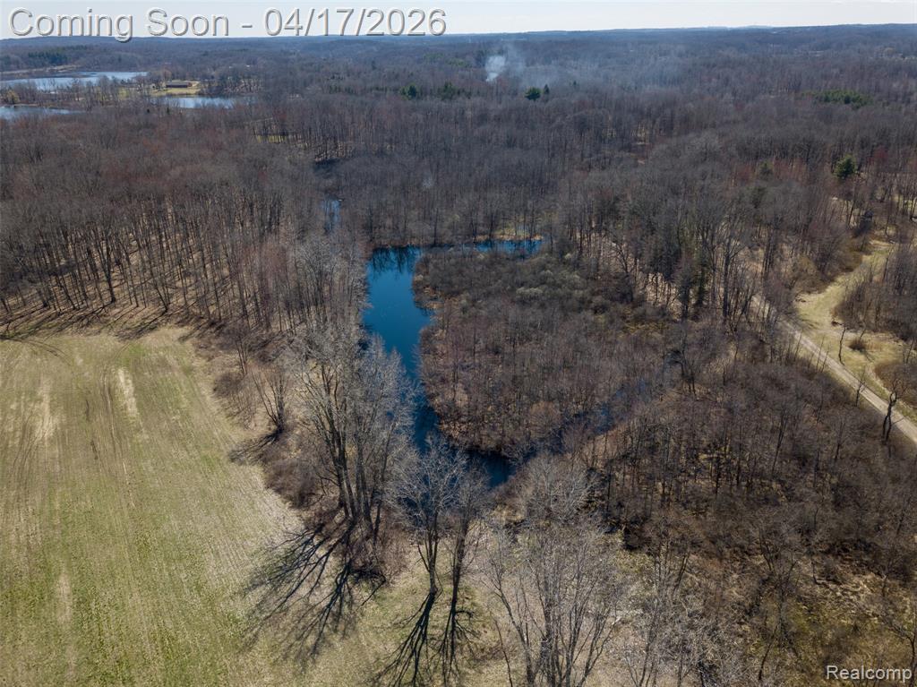 825 W Rose Center Road, Holly, MI 48442 — Photo 28
