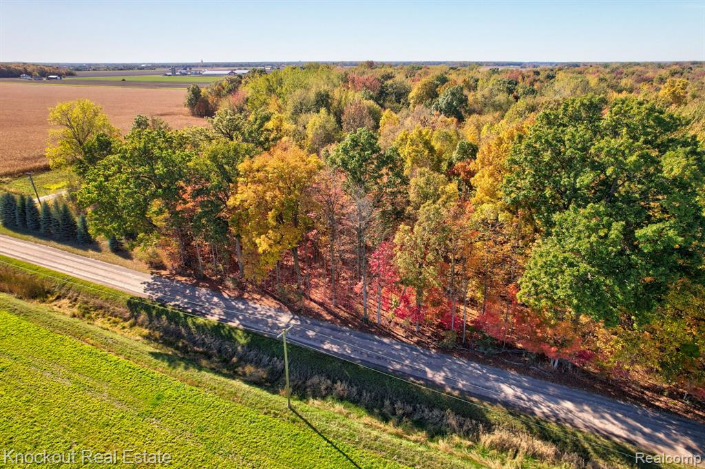 4000 S Reese Road, Frankenmuth, MI 48734 — Photo 6
